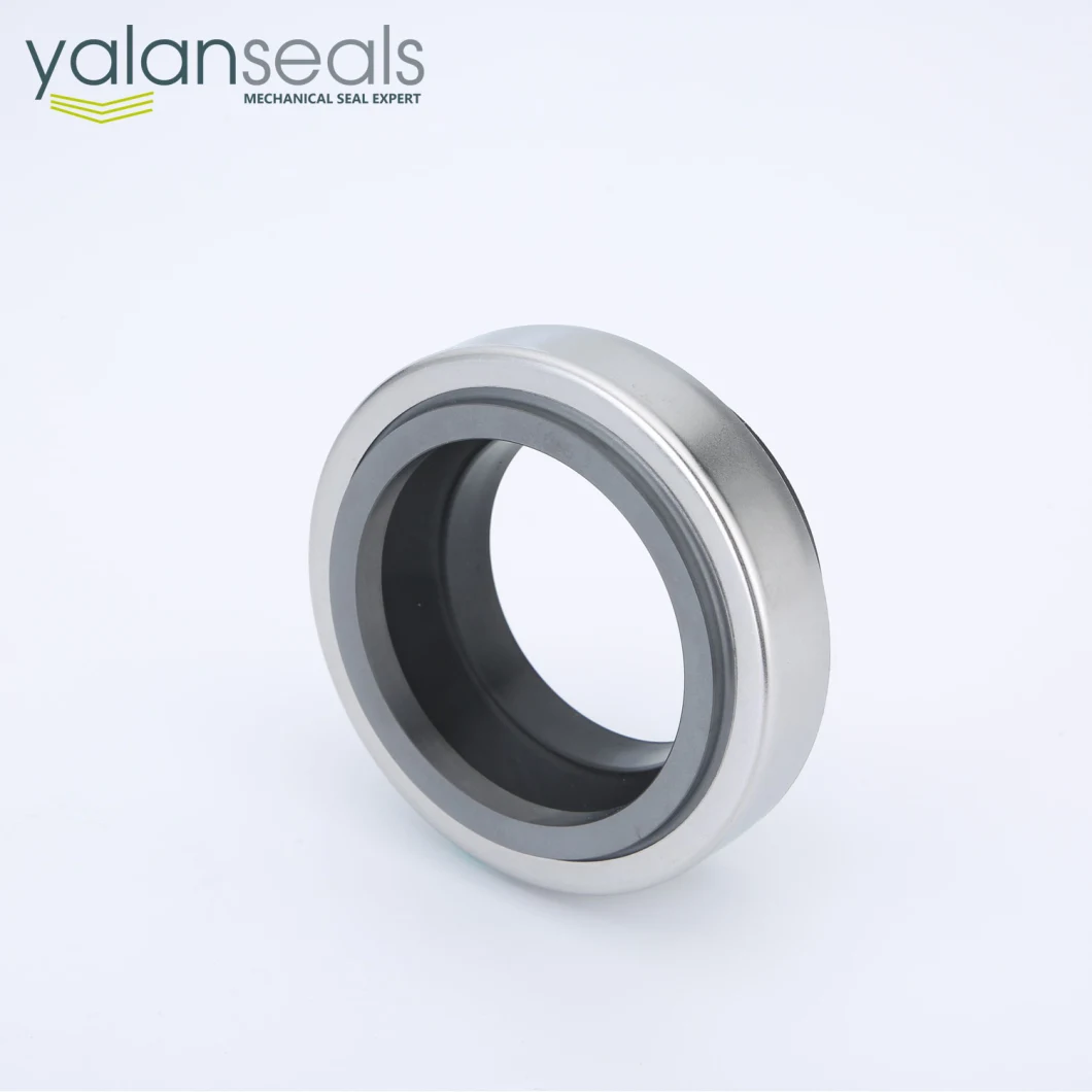 Good Quality Mechanical Seal for Sewage Pumps and Clean Water Pumps