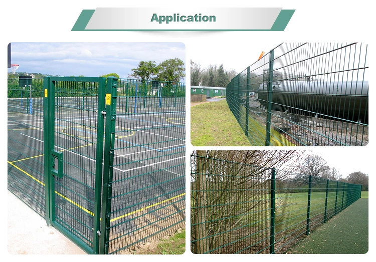 PVC Coated Twin Wire Mesh Panel Workplace /Twin Wire Mesh Fencing
