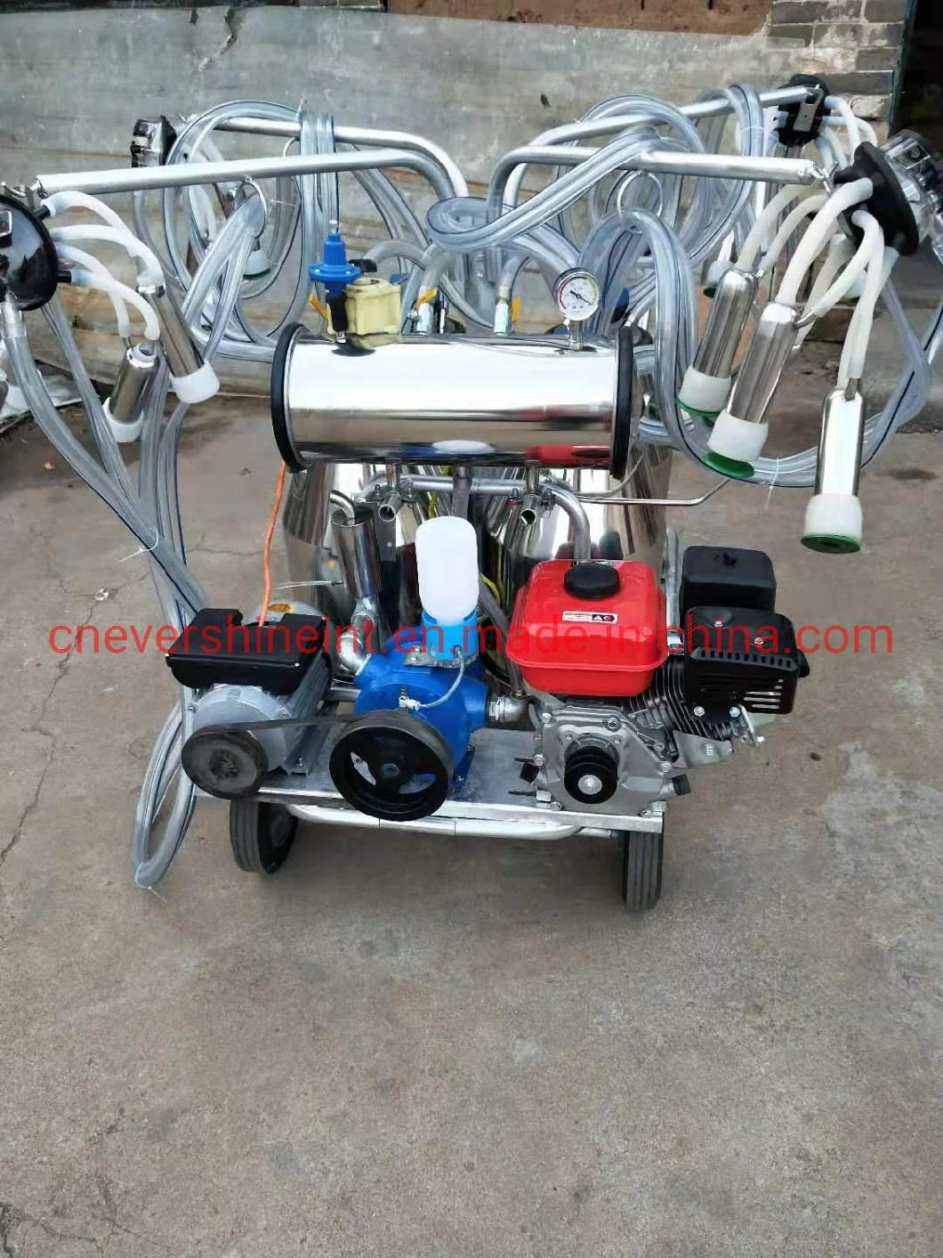 Milking Machine for 4 Cows Milking with 500L Pump