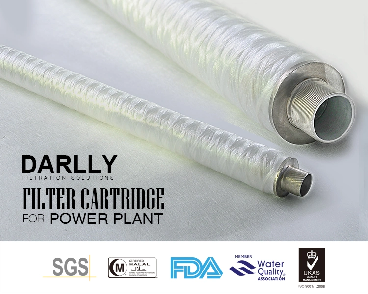 Darlly Filter Cartridge Can Be Backwashed for Sea Water Desalination
