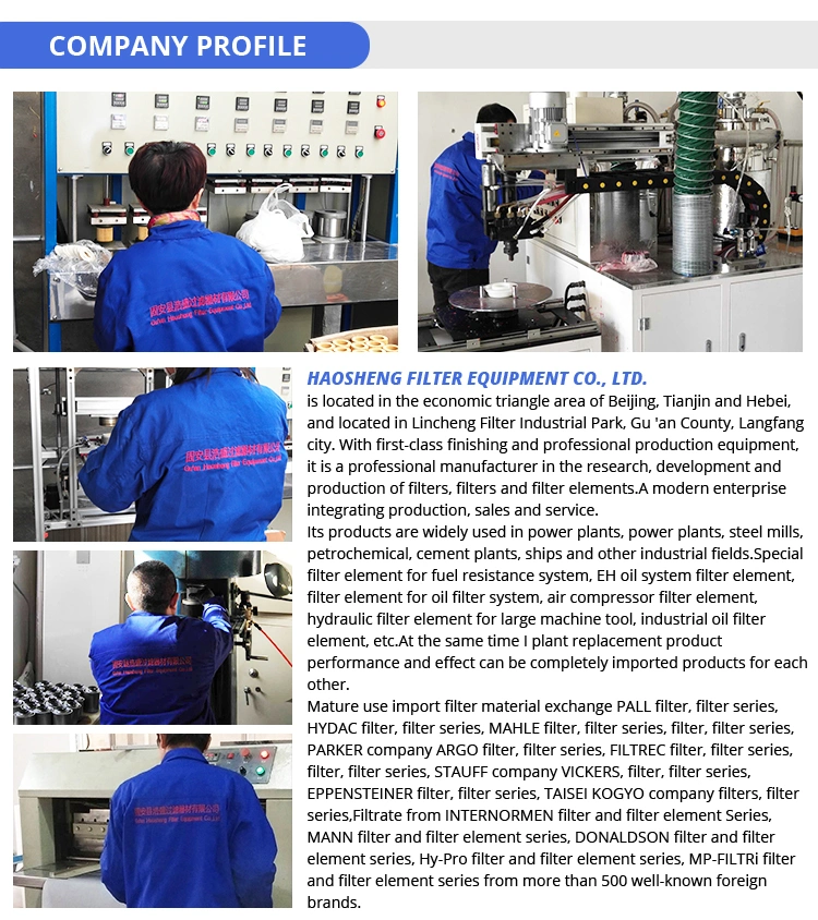 Industrial Hydraulic Oil Filter OEM Replacement Hydraulic Filter Element Hydraulic Oil Filter Assembly