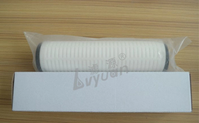 Pleated 0.1 0.22 0.45 2 Microns Membrane Filter PTFE Pleated Filter Cartridge for Pharmaceutical Industry