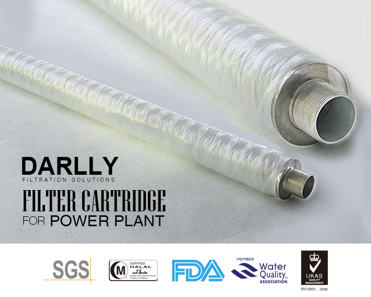Darlly Filter Cartridge Can Be Backwashed for Steel Mill Water Treatment