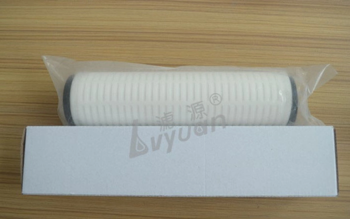 PP PVDF 0.45 Filtration10 Inch Pleated Microns Filter for 10 Inch Cartridg Filter Ss Housing