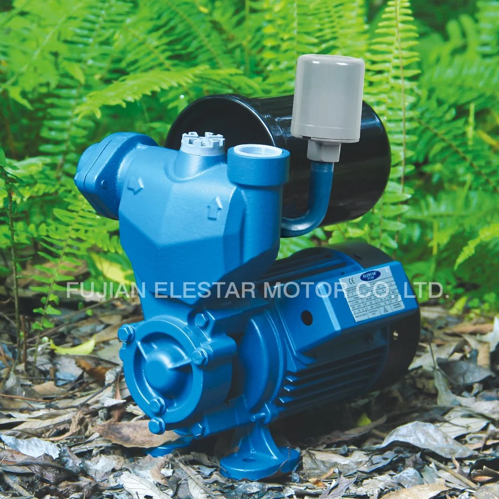 High Performance Clean Water Self-Priming Wzb Small Electric Water Pump