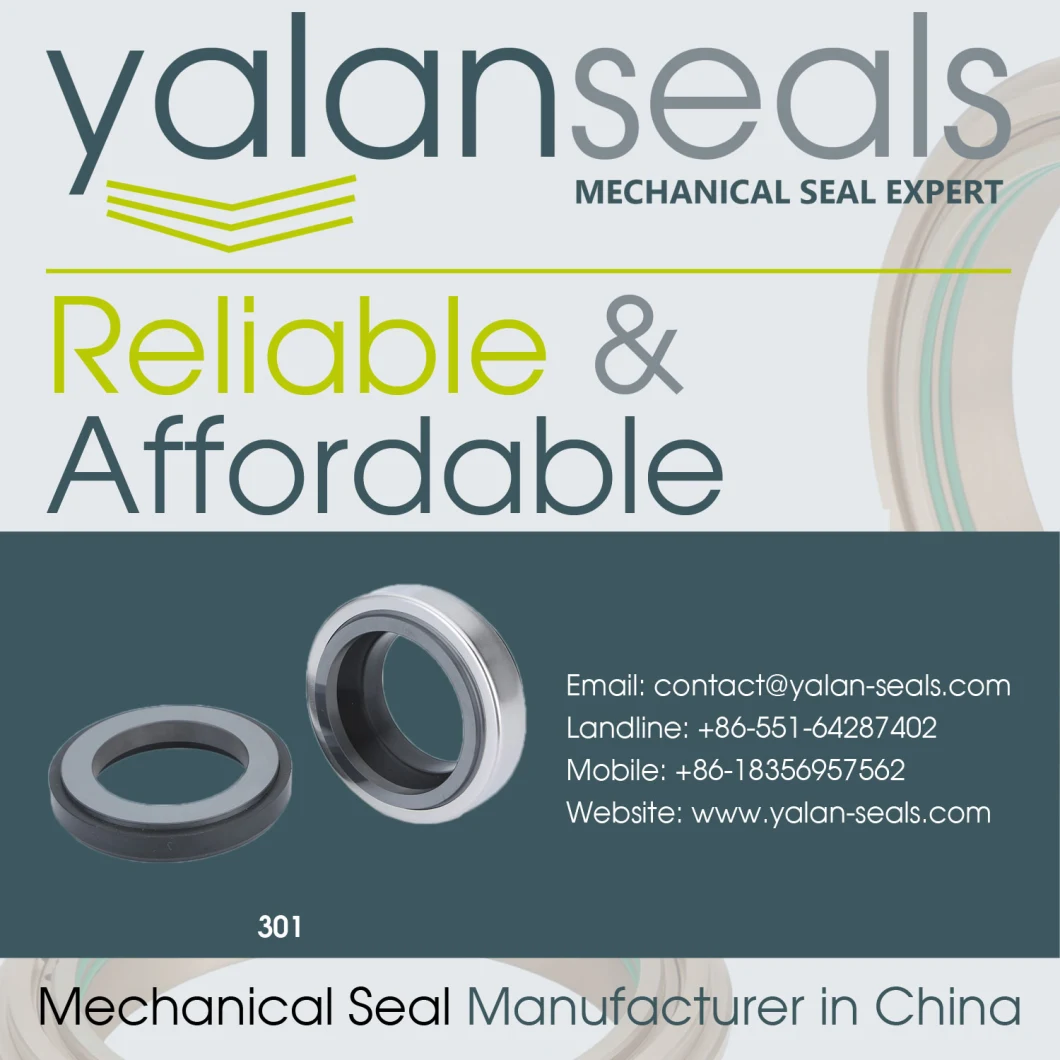 Good Quality Mechanical Seal for Sewage Pumps and Clean Water Pumps