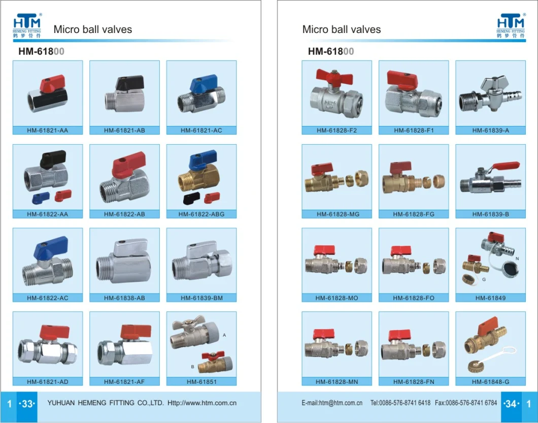 High Quality Hot Sell Brass Valve Female/Male Thread Brass Mini Ball Valve Hm-61848-G