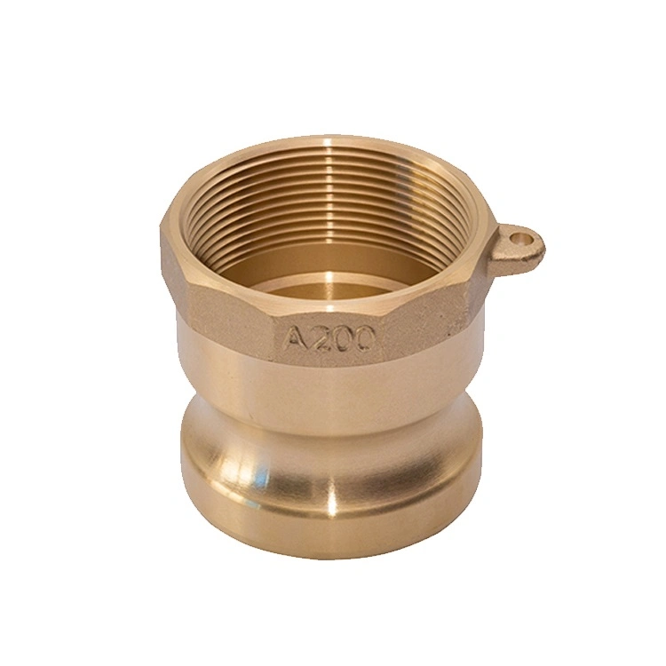 Hot Sale Brass Copper Hose Coupling with Pipe Fittings