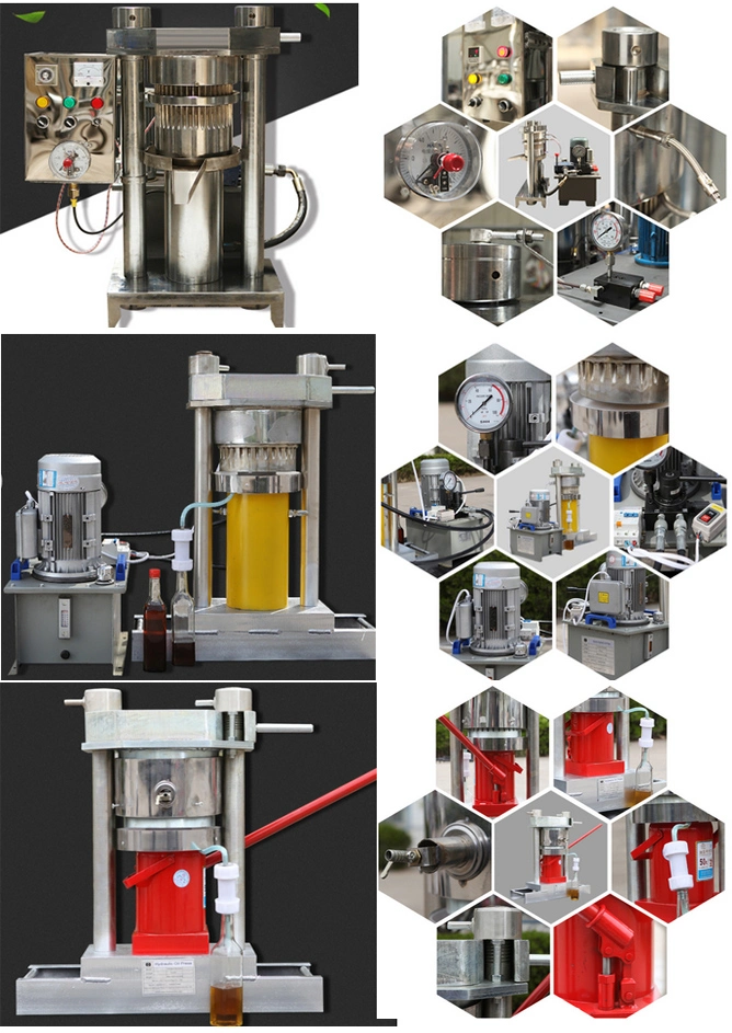 Automatic Sesame Oil Making Machine Hydraulic Oil Press and Hydraulic Cocoa Oil Squeezer Machine