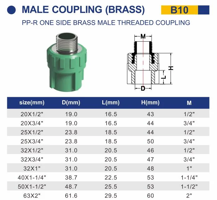 PPR/Plastic Pipe Fittings Male Threaded Brass Coupling for Cold and Hot Water Supply