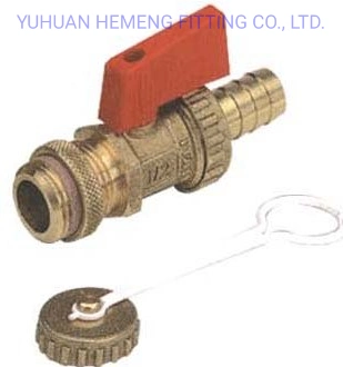 High Quality Hot Sell Brass Valve Female/Male Thread Brass Mini Ball Valve Hm-61848-G