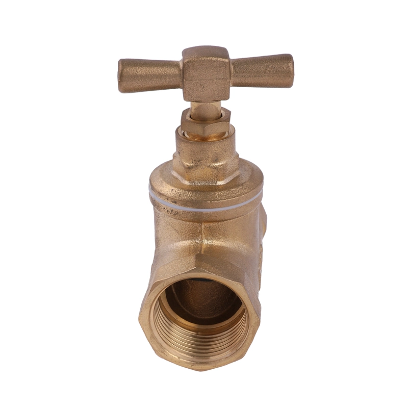 Brass Stop Valve Manufacturing Agent Product Manufacturer Brass Valve Factory F/F F/M Thread Check Valve with Filter Company Distributor OEM/ODM