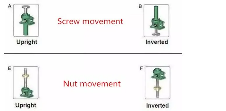 Copper Nut Head Type Worm Screw Jack for Lifting