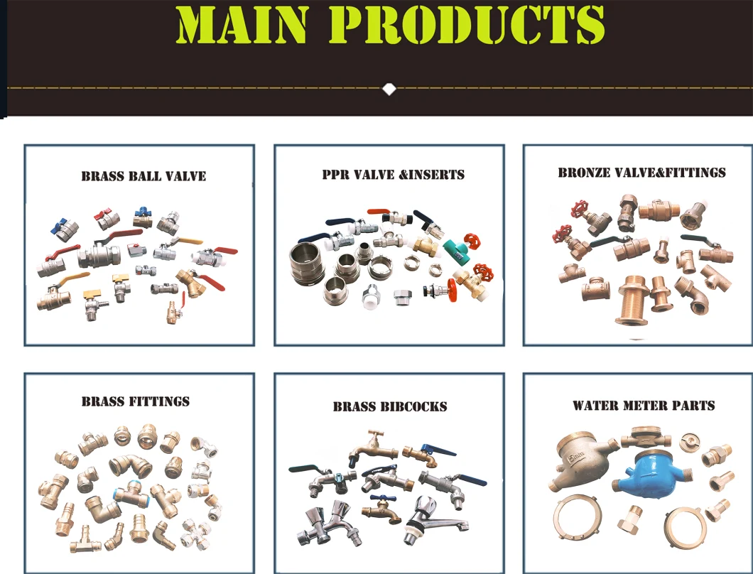 Lead Free Brass or Bronze Forging Straight Meter Coupling/Tailpiece