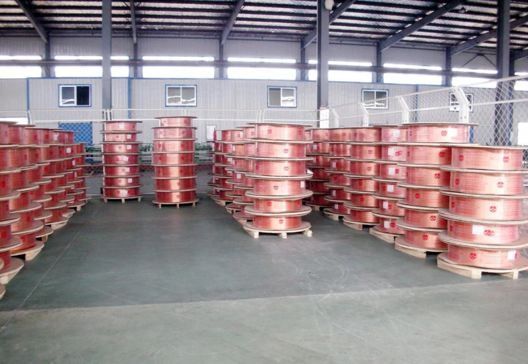 Annealed Copper Pipe Tube in Pancake Coil