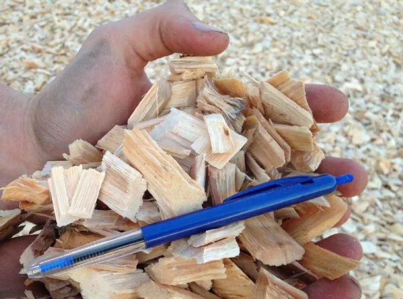 6PCS Cutting Blades, 250kw Big Power Large Capacity Wood Biomass Log Grinder
