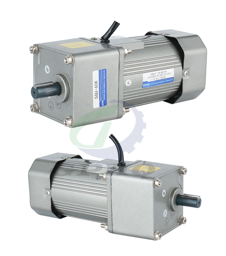 Single Phase 220V Micro Induction AC Electric Gear Motor