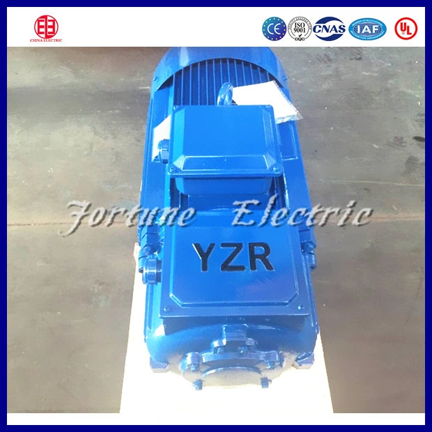 Asynchronous Motor Type and 220V / 380V / 415V / 460V AC Voltage 3 Phase Motor