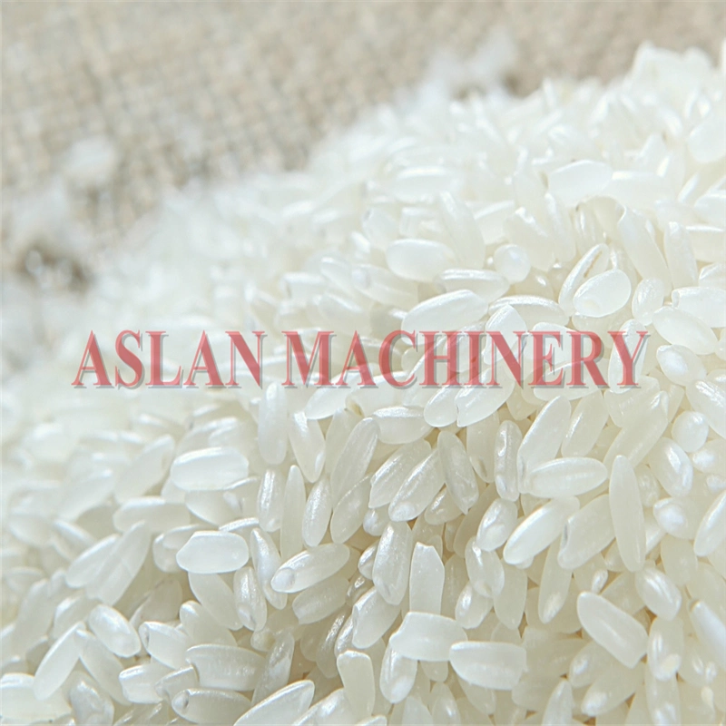 High Capacity Grain Polishing Machine Removes Dust Beans Grain Polishing Machine