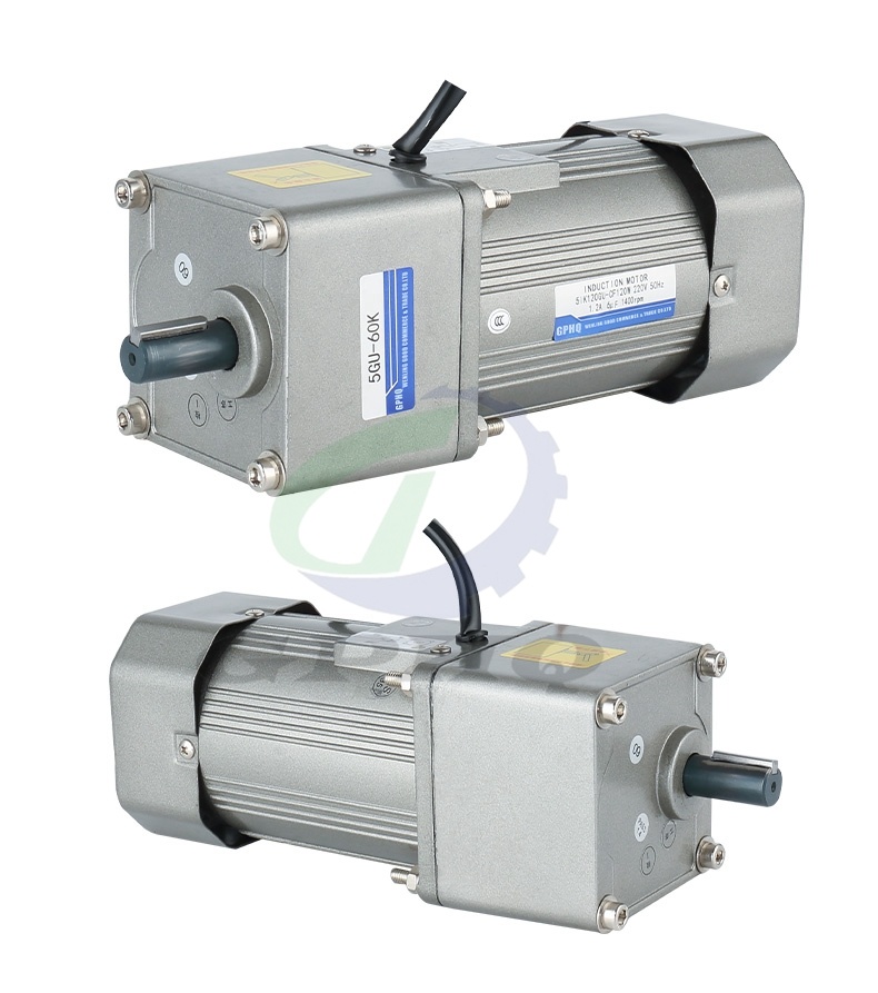 220V Single Phase Micro AC Reversible Geared Motor