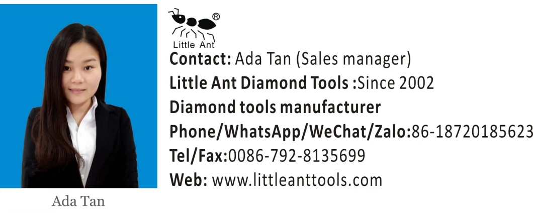 Little Ant Diamond Concrete Floor Grinding Machine Pad