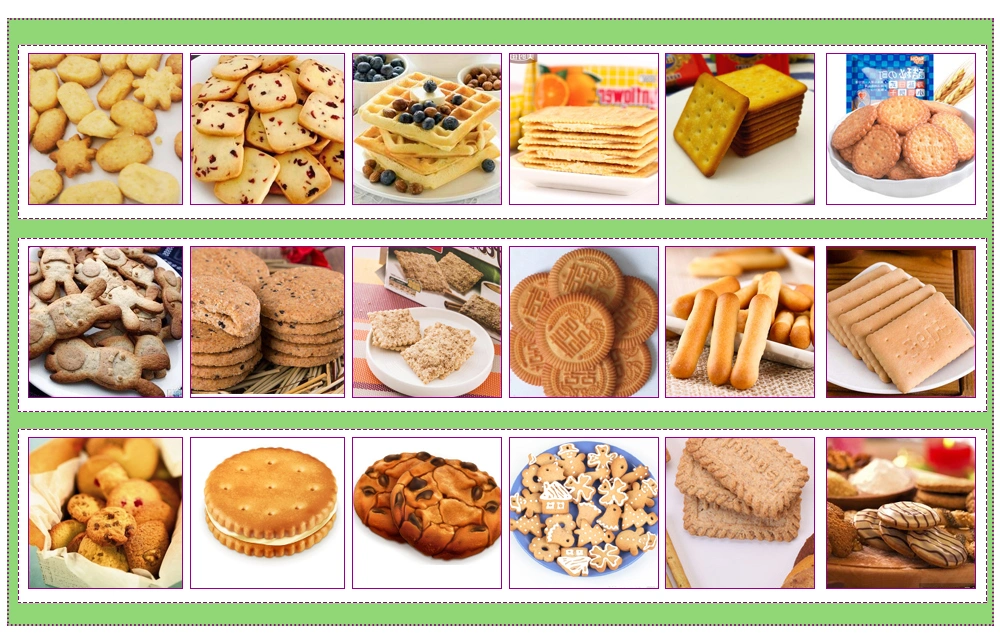 Automatic Molded Biscuit Equipment Fully Automatic Big Output Biscuits Machine Automatic Biscuit Making Machine