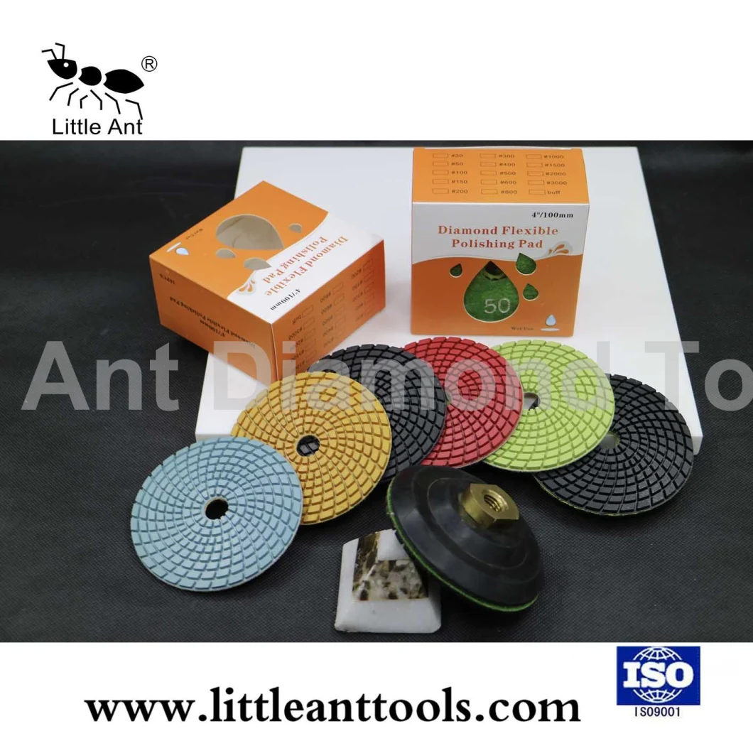 100mm Diamond Wet Polishing Pad for Granite and Marble