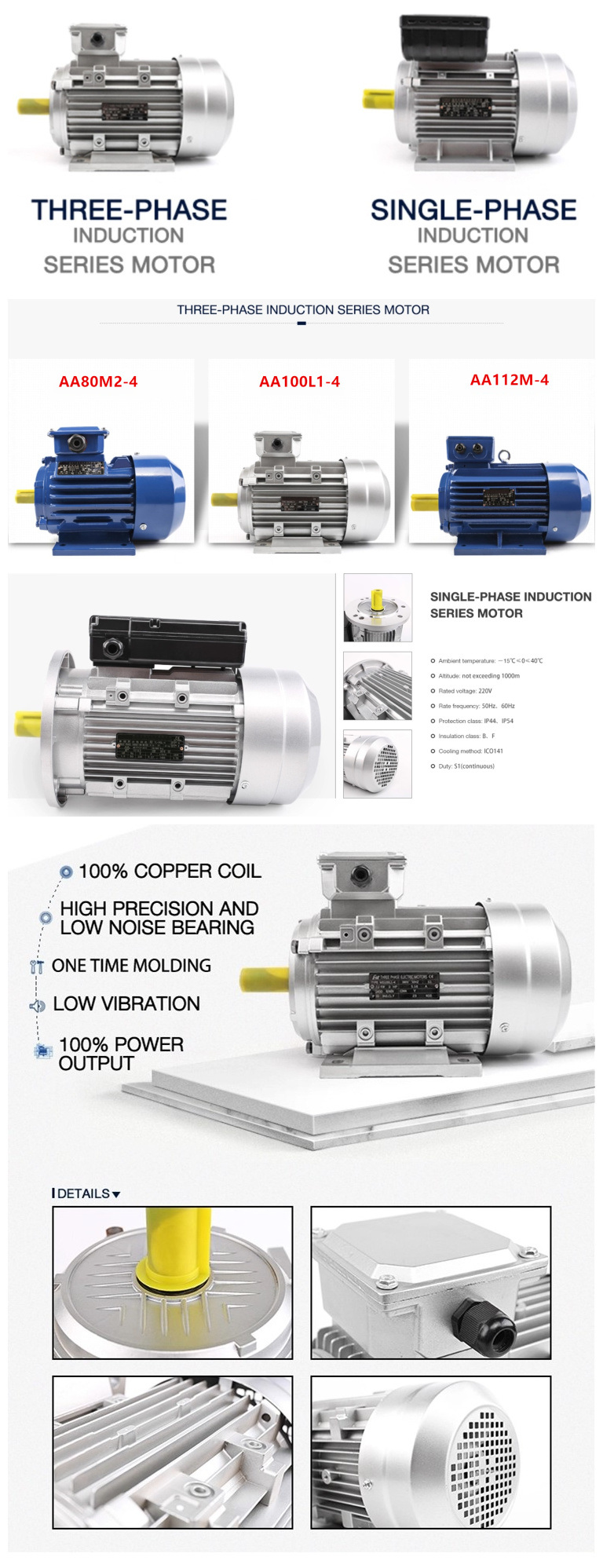 Cast Iron Ie2 Electro Motor 220V 3 Phase AC Induction Motor