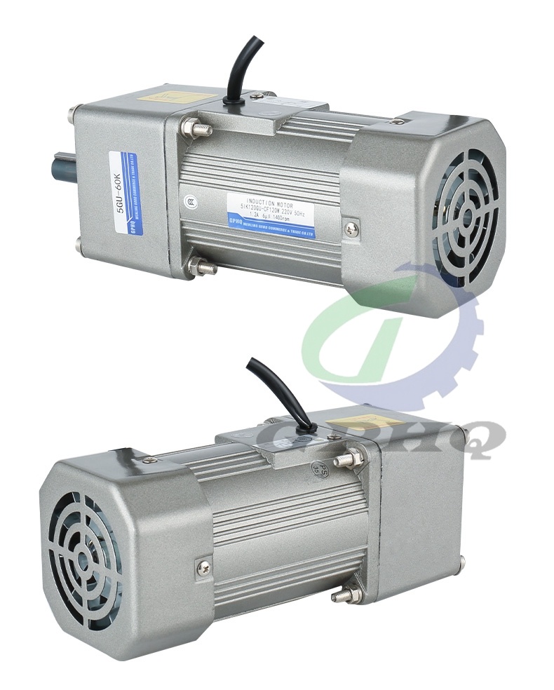 220V Single Phase Micro AC Reversible Geared Motor