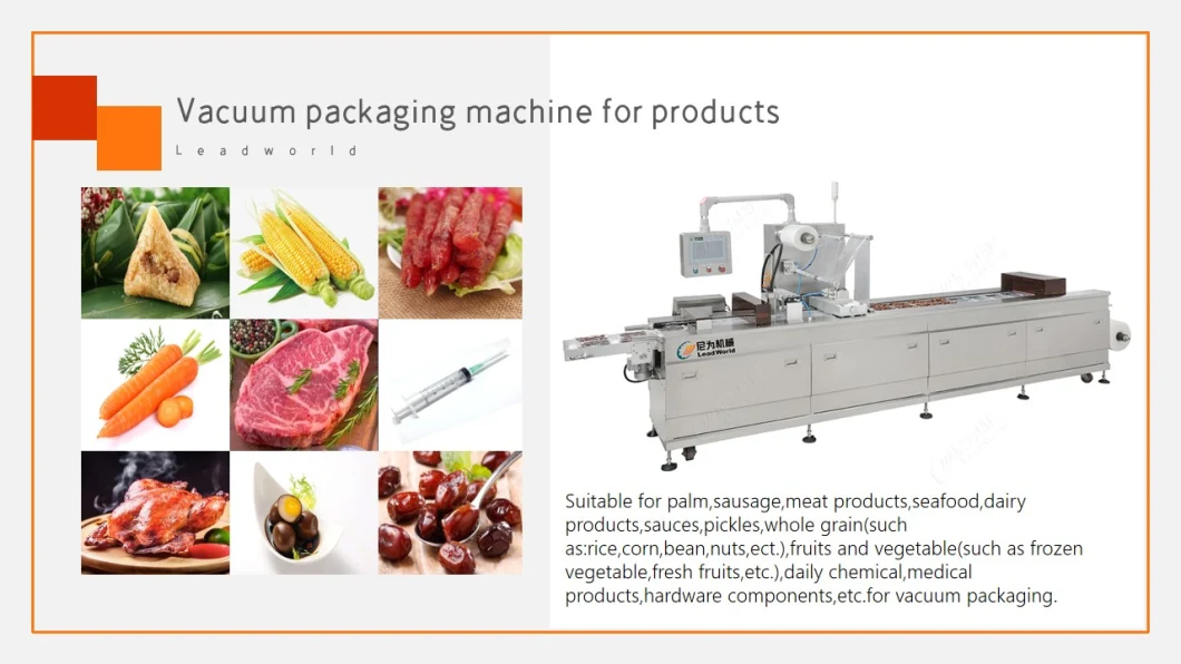 Industrial Vacuum Sealer Machine Food Meat Fruit and Vegetable Vacuum Packing Machinese
