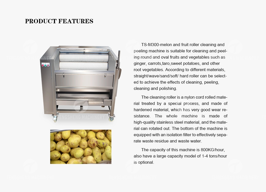 Fruit Peeling Brush Cleaning Machine Potato Cleaning and Peeling Machine (TS-M300)