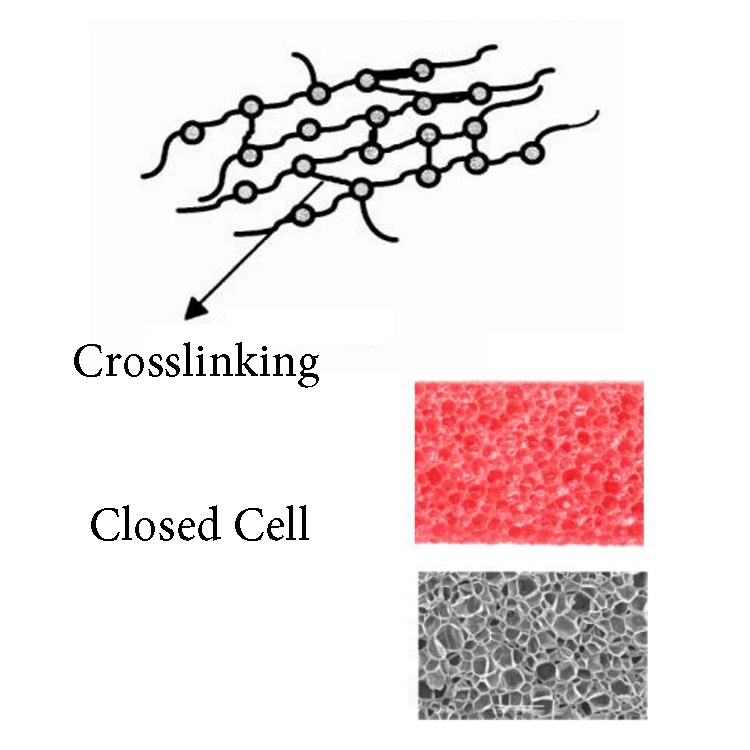 Closed Cell Low Density Polyethylene Crosslinked Pipe Plastic Material Heat Resistant Foam