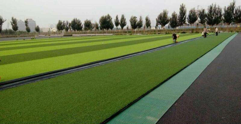 Football Field Artificial Grass Closed Cell PE Foam Shock Pad