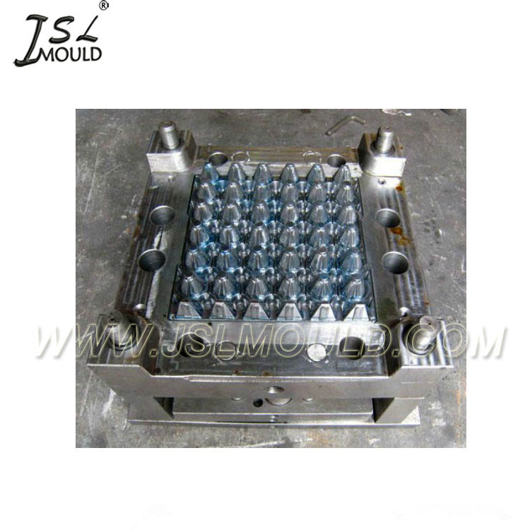 Injection Plastic Mould for Egg Tray