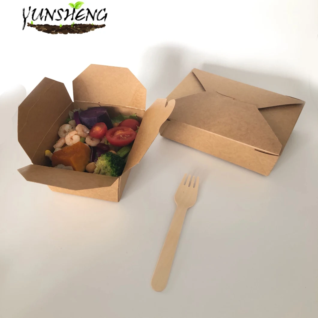 Biodegradable Disposable Takeaway Cardboard Box & Kraft Paper Boxes Bamboo Paper Boxes for Chips or Fries