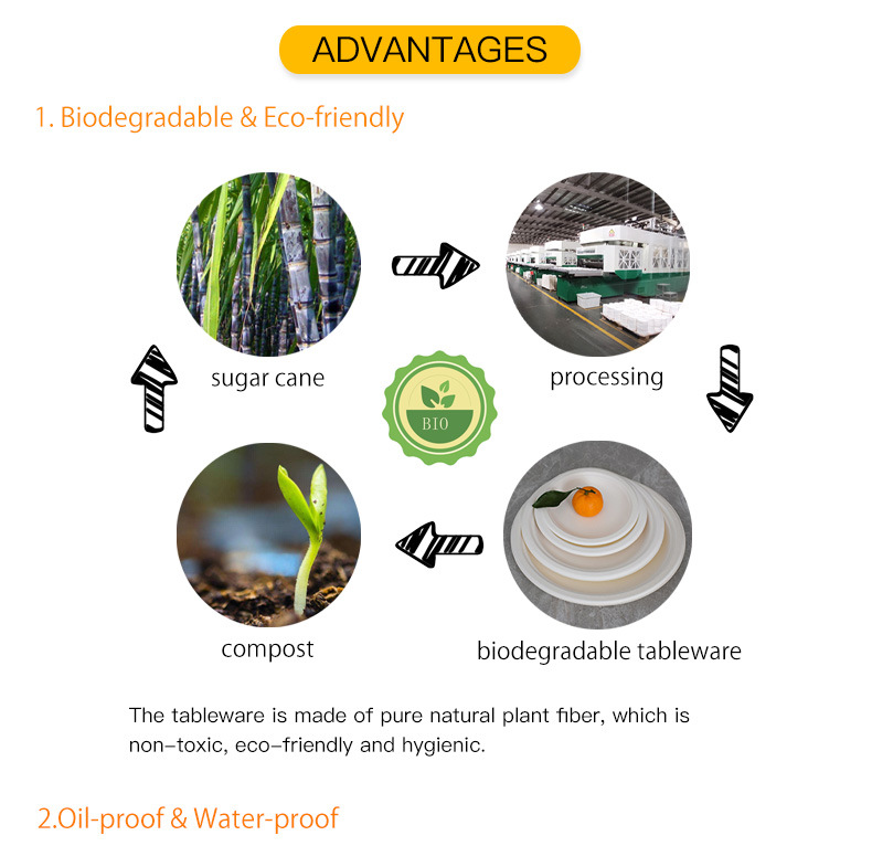 Biodegradable Disposable Compostable Degradable Eco Friendly Sugarcane Bagasse Dinner Plate
