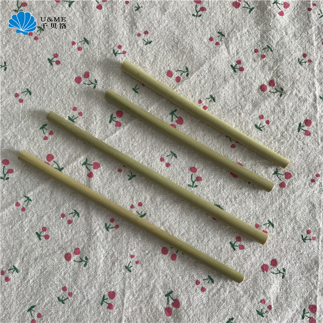 Bamboo Straw Eco Friendly Straw Biodegradable Straw Set with Pouch