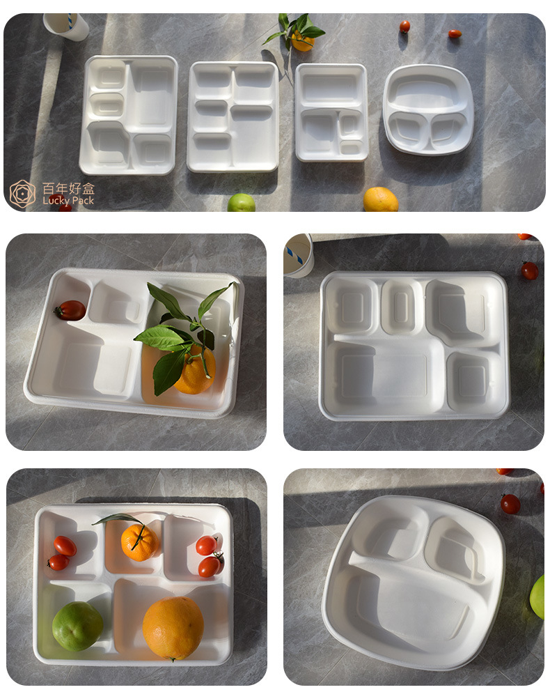 Eco Friendly Disposable Tray Sugarcane Bagasse Biodegradable Tableware