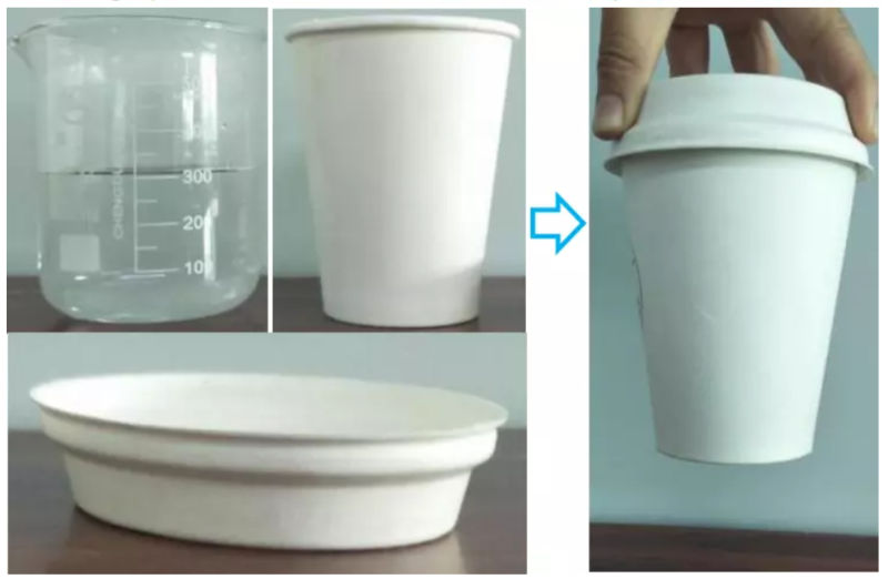 90mm Eco Friendly Unbleached Sugarcane Bagasse Pulp Coffee Cup Lid, 90mm Paper Coffee Cup Cover