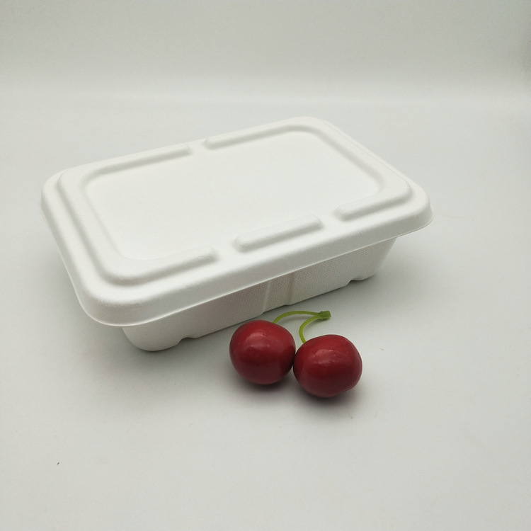 Biodegradable Food Sushi Container Sugarcane Plate Bagasse Trays with Lid