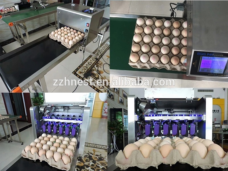 China Manufacture Egg Printing Machine / Egg Laser Printer Machine / Egg Printer