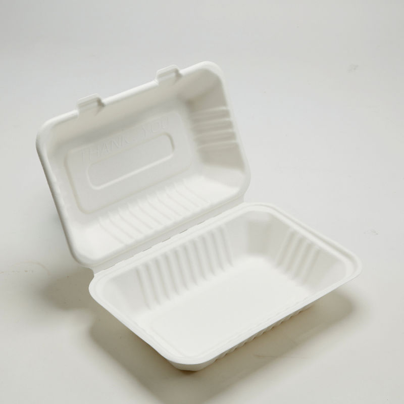 9X6 Inch Bagasse Camlshell Sugarcane Food Box