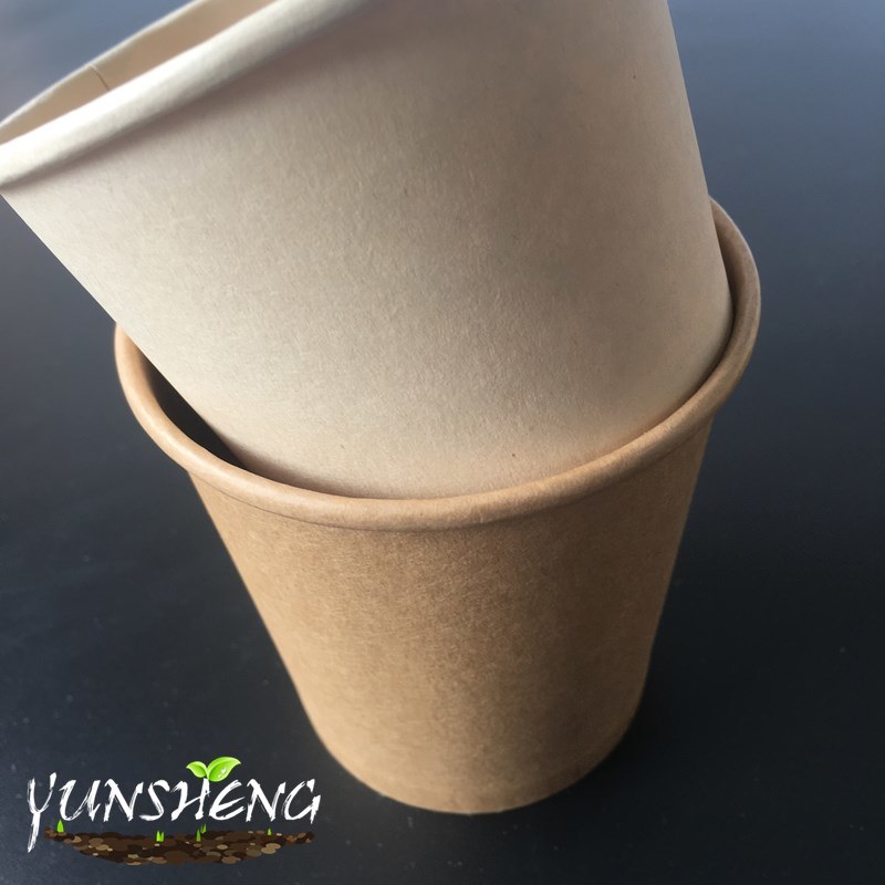Takeaway Bamboo Pulp Paper Beverage Cup or Paper Bowl