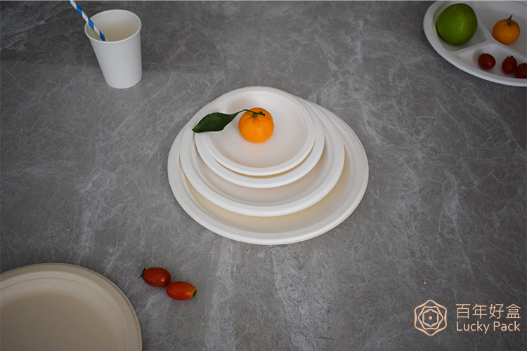 6 Inch Disposable Compostable Biodegradable Tableware Sugarcane Bagasse Paper Round Plate