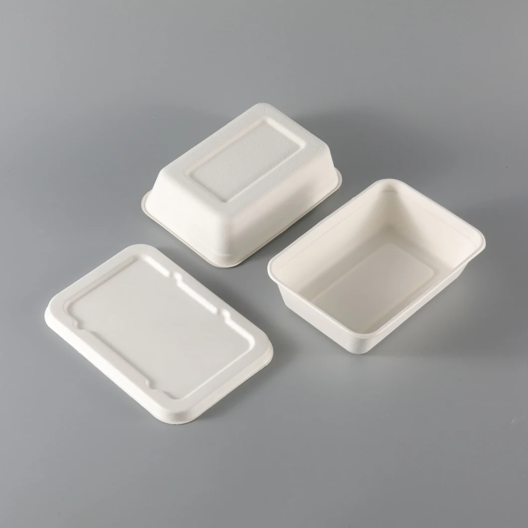 Biodegradable Food Packaging Tableware Sugarcane Bagasse Container with Lid 500ml 650ml Lunch Paper Tray