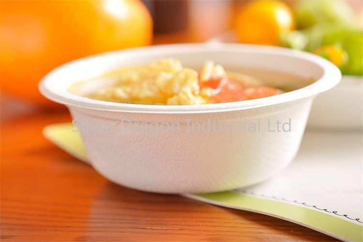 Biodegradable Disposable Paper Plate, Bowl, Box, Cup