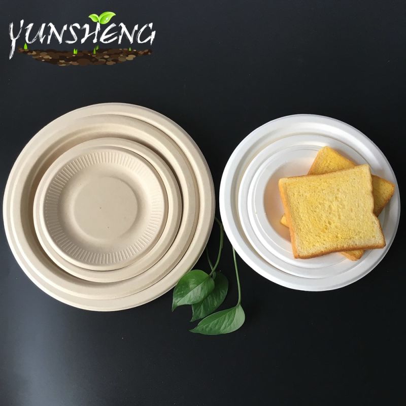 Disposable White Sugarcane Bagasse Pulp Paper Round Plates