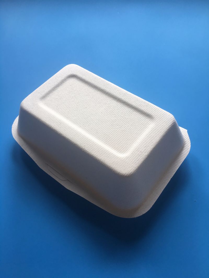 Manufactury Biodegradable Bagasse Pulp Paper Food Packaging Container Box 1000ml Takeawy Box