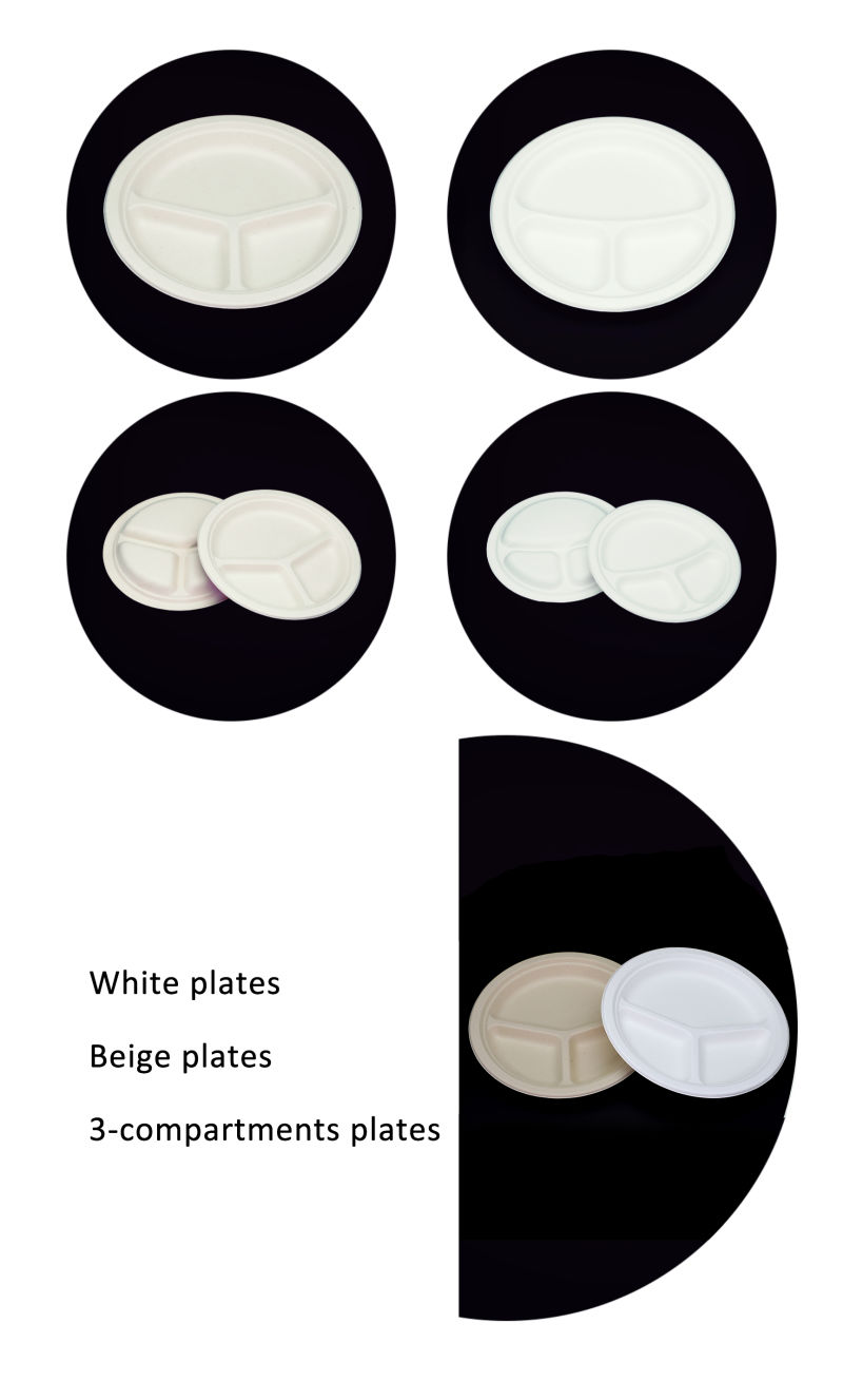 Sugarcane Plate Disposable Biodegradable Sugarcane Bagasse Plates