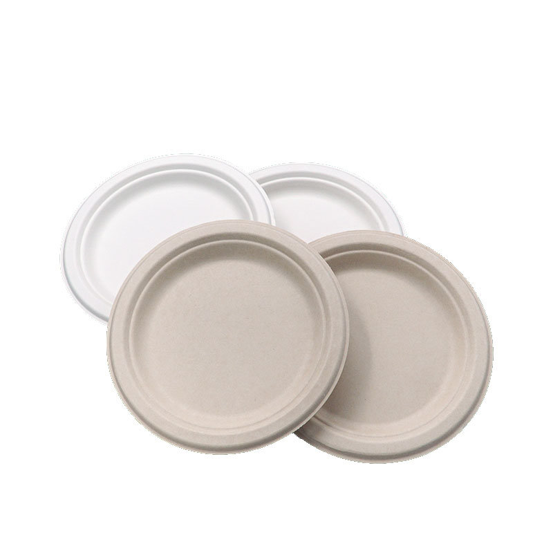 Eco-Friendly Disposable Biodegradable Compostable Sugarcane Bagasse Plate